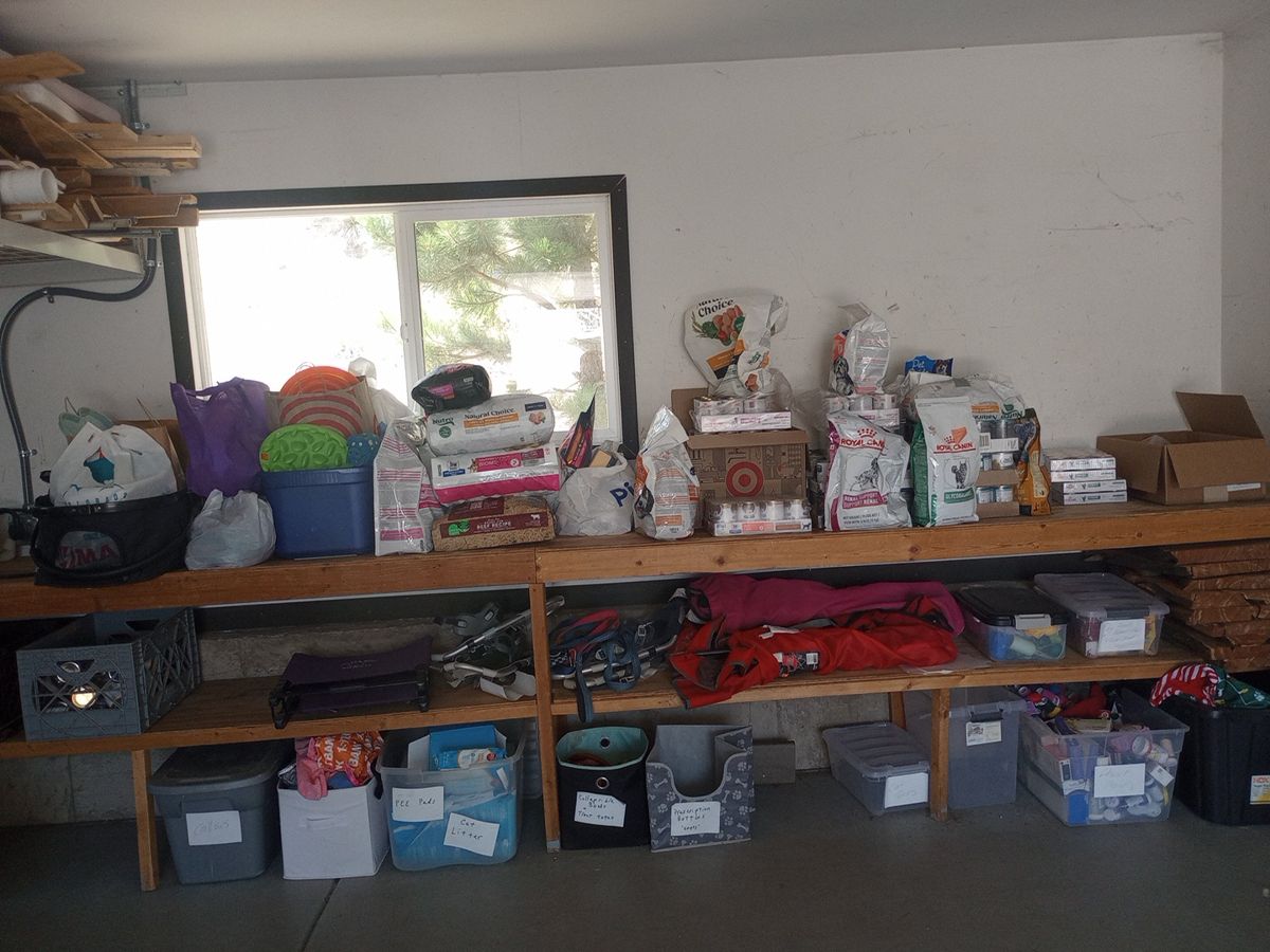 A garage workbench stacked with bags and cases of pet food, with labelled bins underneath.