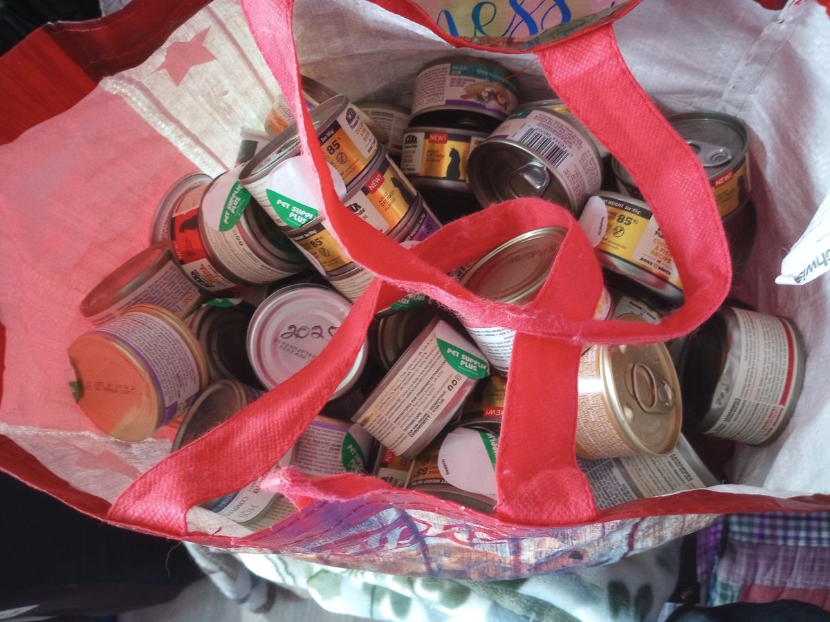 Looking down into a red shopping bag full of small cans of cat food.